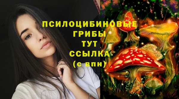 мяу мяу мука Россошь