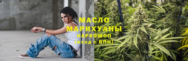 прущие грибы Ростов