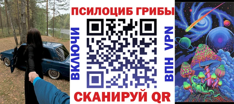 Псилоцибиновые грибы Cubensis Сасово